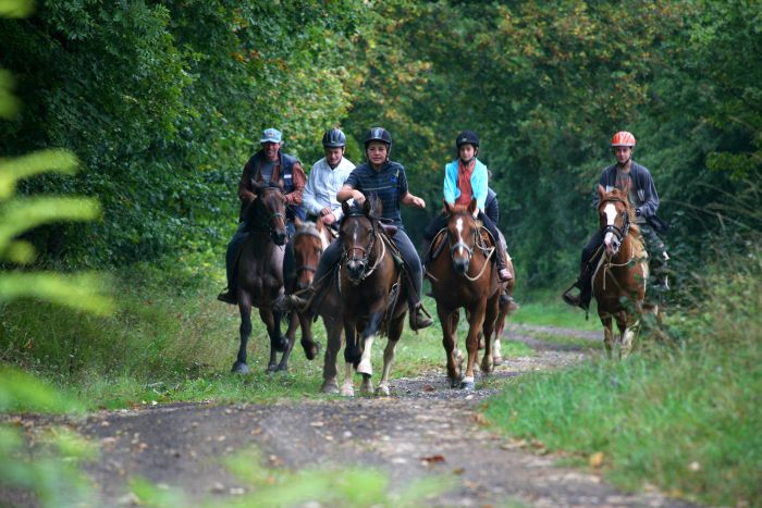 Burgundy Nature Park in galopp