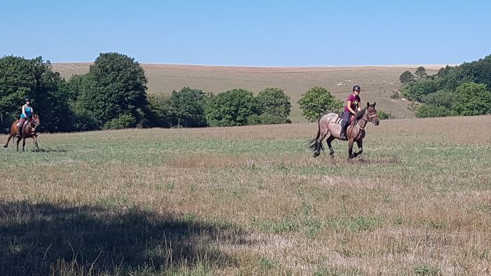 Burgundy Nature Park in galopp