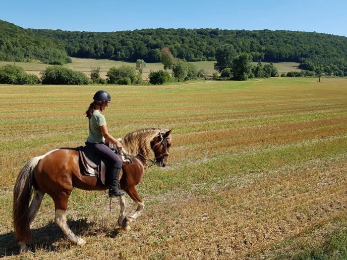 Burgundy Nature Park in galopp