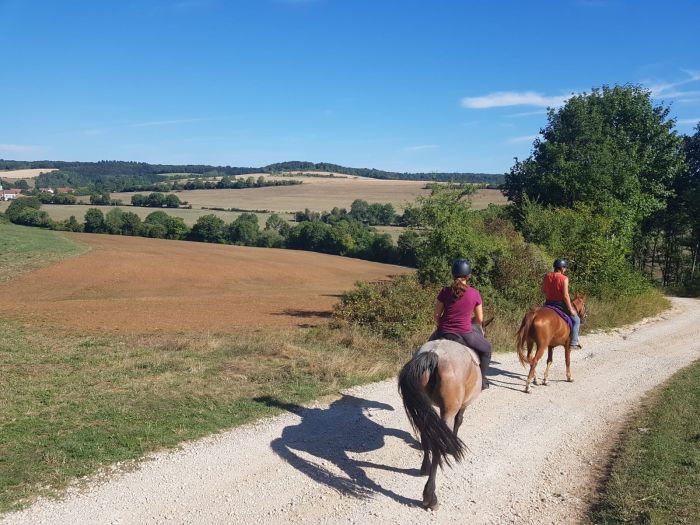 Burgundy Nature Park in galopp