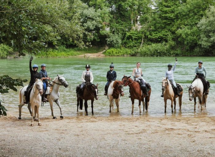 A sparkling ride through the Champagne region