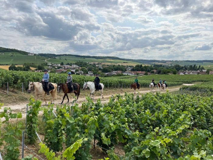 A sparkling ride through the Champagne region