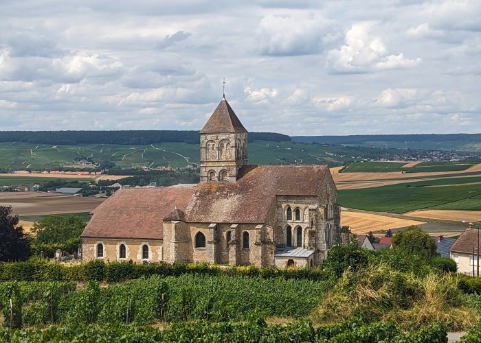 A sparkling ride through the Champagne region