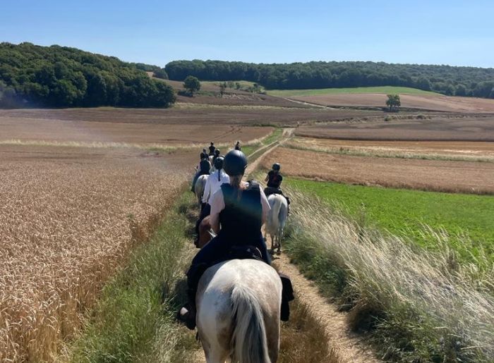 A sparkling ride through the Champagne region