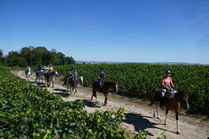 A sparkling ride through the Champagne region