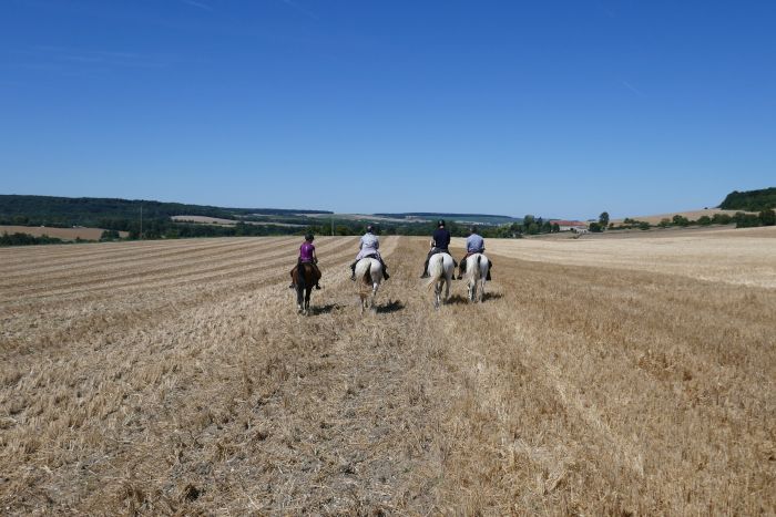 A sparkling ride through the Champagne region