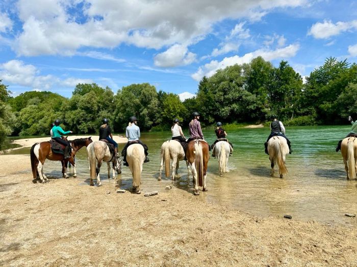 A sparkling ride through the Champagne region