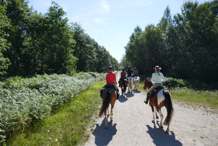 A sparkling ride through the Champagne region