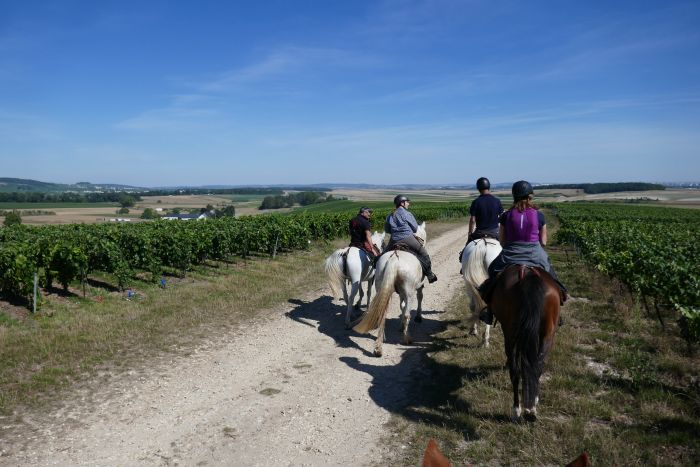 A sparkling ride through the Champagne region