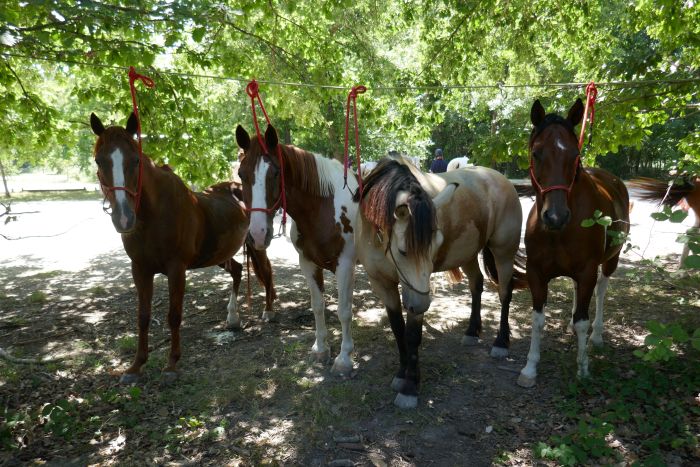 A sparkling ride through the Champagne region