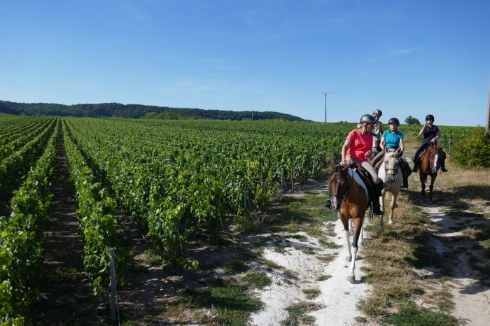 A sparkling ride through the Champagne region