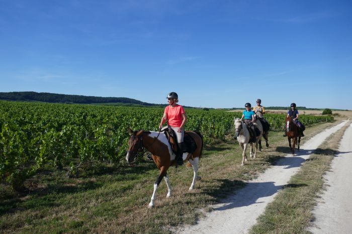 A sparkling ride through the Champagne region