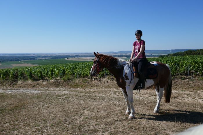 A sparkling ride through the Champagne region