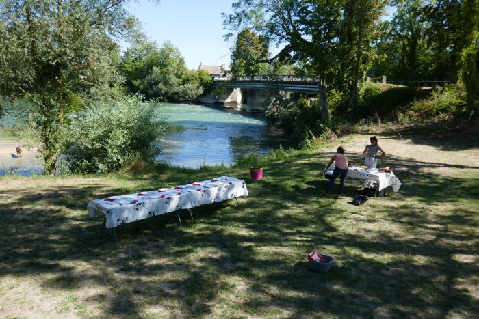A sparkling ride through the Champagne region