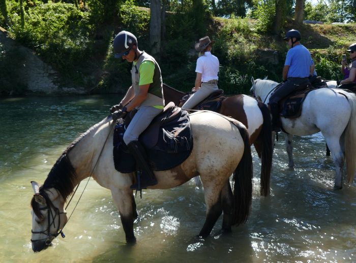 A sparkling ride through the Champagne region