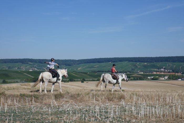 A sparkling ride through the Champagne region