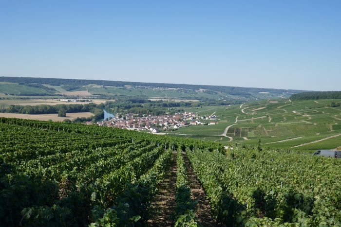 A sparkling ride through the Champagne region