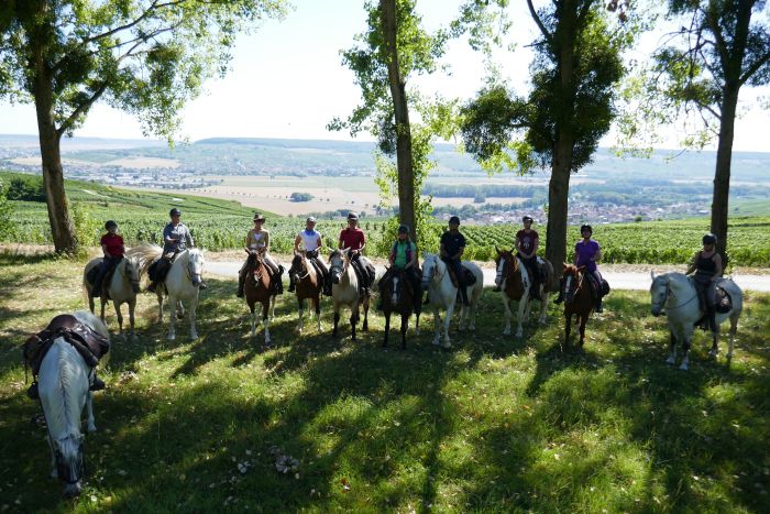 A sparkling ride through the Champagne region