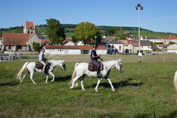 A sparkling ride through the Champagne region