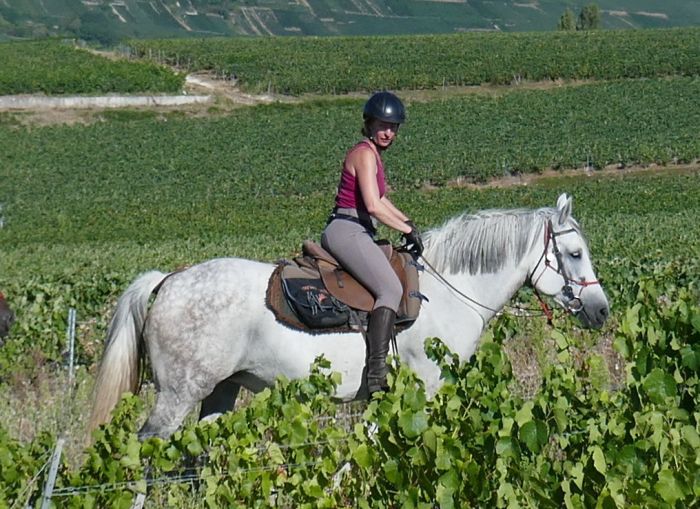 A sparkling ride through the Champagne region
