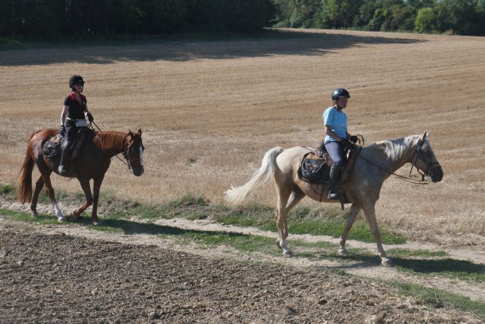 A sparkling ride through the Champagne region