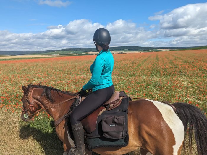 A sparkling ride through the Champagne region
