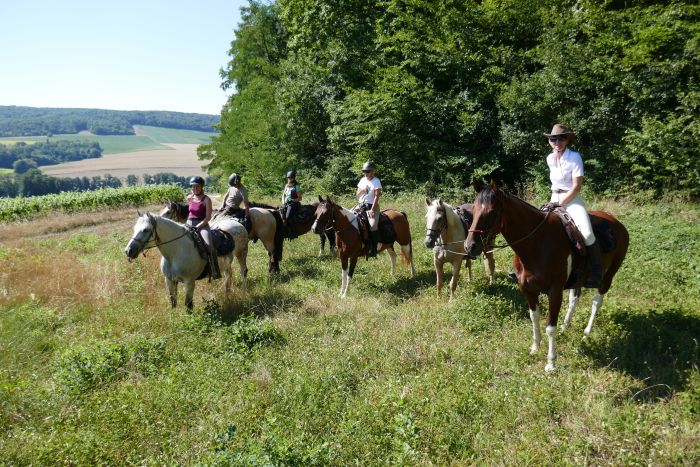 A sparkling ride through the Champagne region