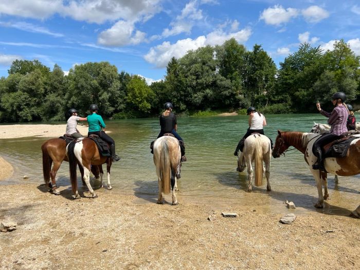 A sparkling ride through the Champagne region