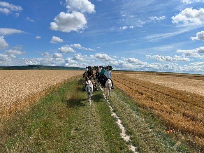 A sparkling ride through the Champagne region