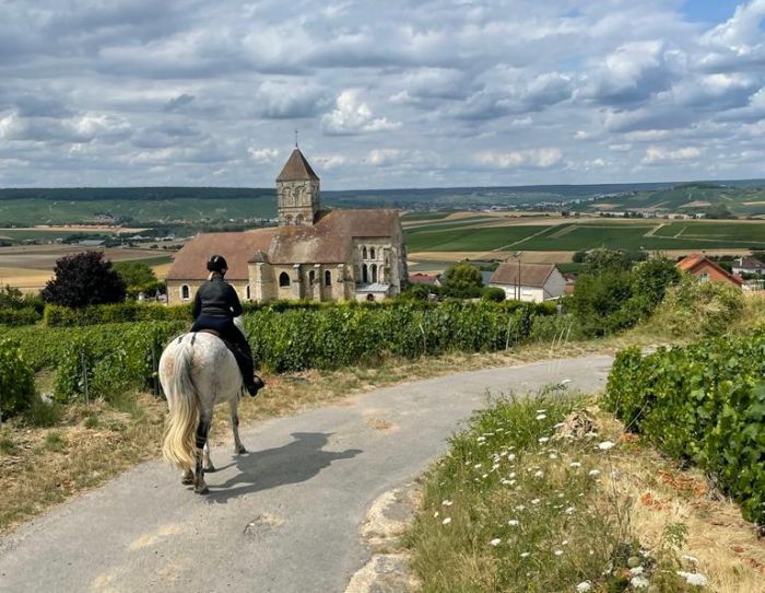 A sparkling ride through the Champagne region
