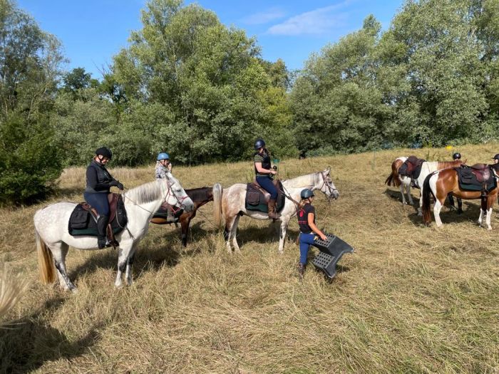 A sparkling ride through the Champagne region