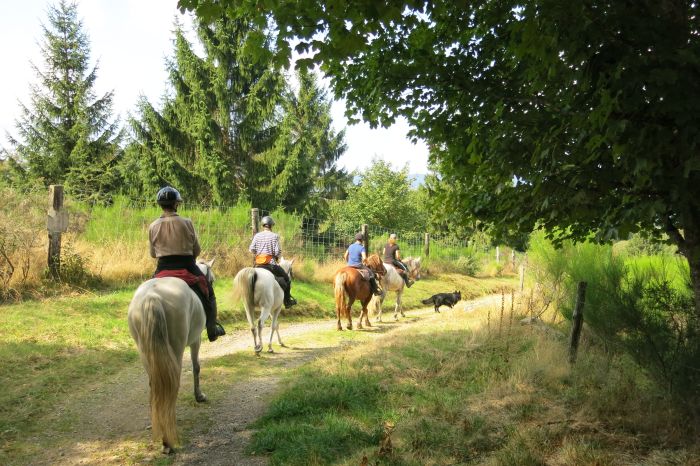 Riding holiday in the beautiful Alsace