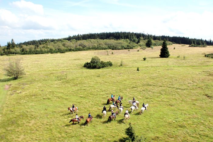 Riding holiday in the beautiful Alsace