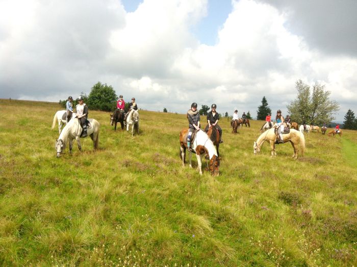 Riding holiday in the beautiful Alsace