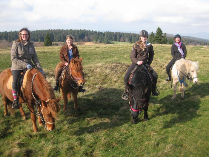Riding holiday in the beautiful Alsace