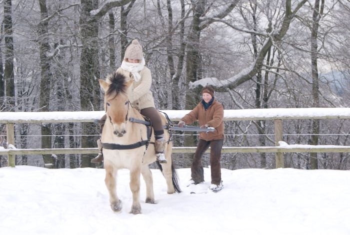 Riding holiday in the beautiful Alsace