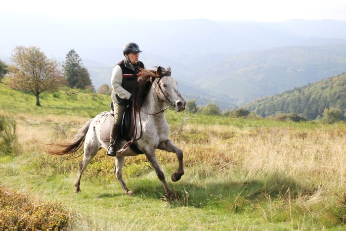 Riding holiday in the beautiful Alsace