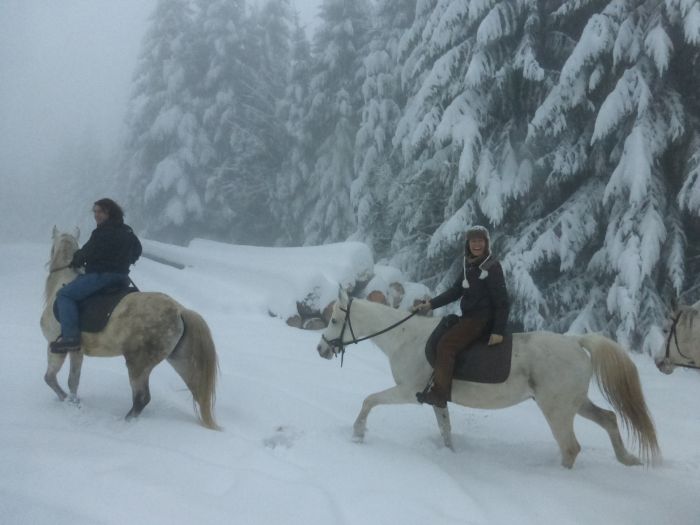 Riding holiday in the beautiful Alsace
