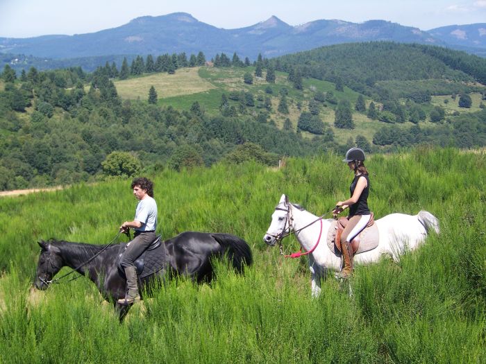 Riding holiday in the beautiful Alsace