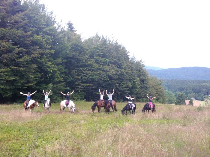 Riding holiday in the beautiful Alsace