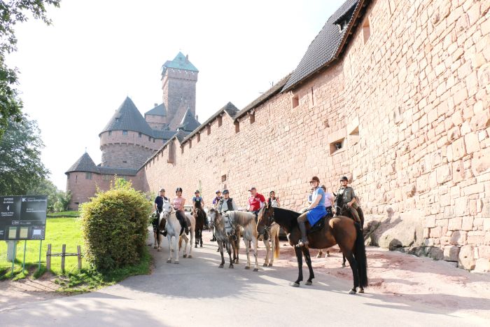 Riding holiday in the beautiful Alsace