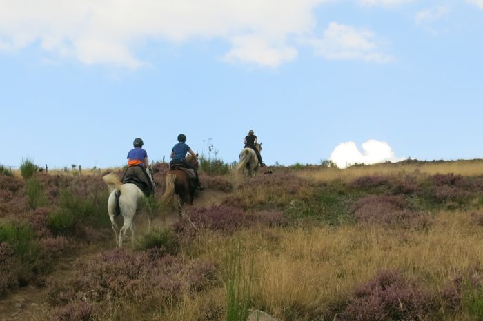 Riding holiday in the beautiful Alsace