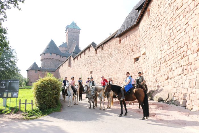 Riding holiday in the beautiful Alsace