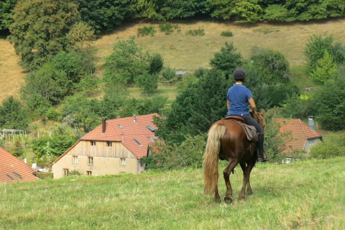 Riding holiday in the beautiful Alsace