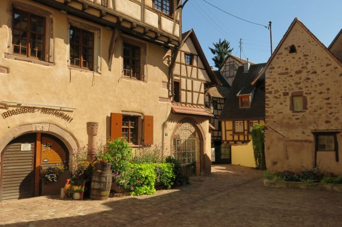 Riding holiday in the beautiful Alsace
