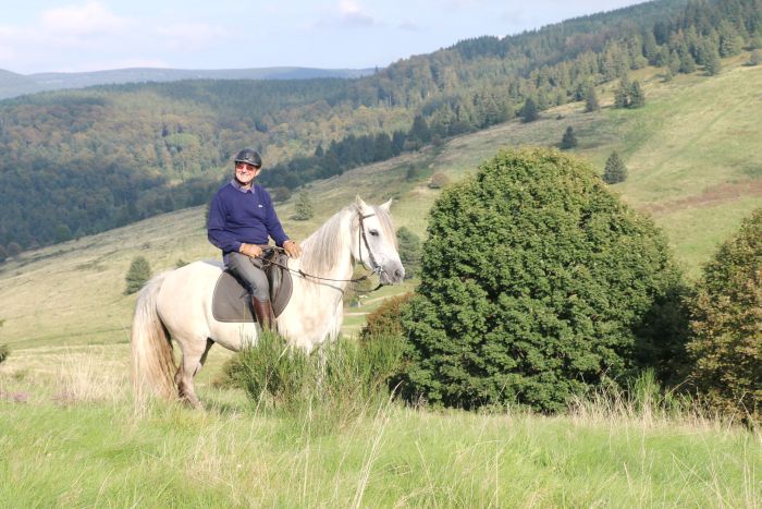 Riding holiday in the beautiful Alsace