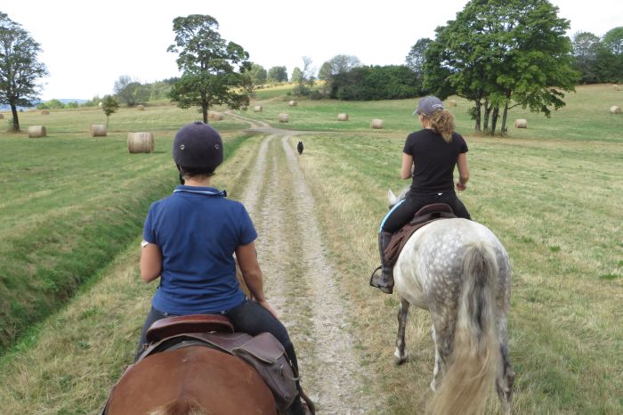 Riding holiday in the beautiful Alsace