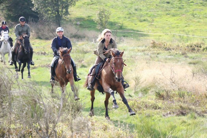 Riding holiday in the beautiful Alsace