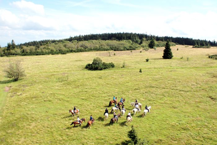 Riding holiday in the beautiful Alsace