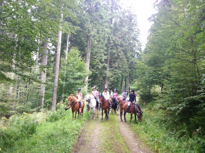 Riding holiday in the beautiful Alsace